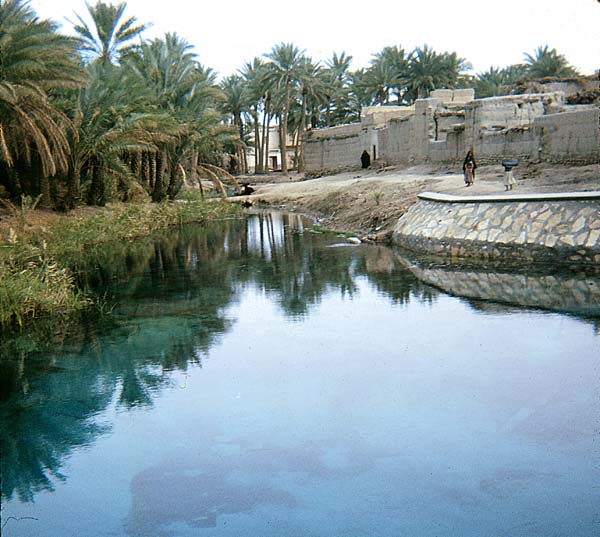 A well in the Sawād area of south-central Iraq.