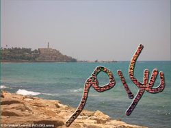 Artistic rendering of the Hebrew and Arabic words for ‘peace’, shālōm and salām, respectively, in a style demonstrating their graphic resemblance, against the backdrop of the Old City of Yāfō (Jaffa).